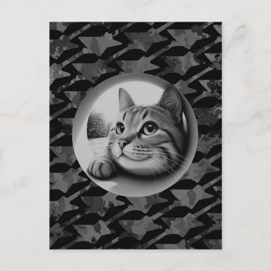 Grappig Schattigeste Hallo Cool Cat What's Up Anim Briefkaart (Voorkant)