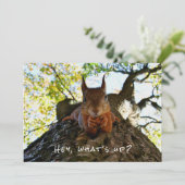 Grappig Schattigeste Hallo Hey What's Up Squirrel  Feestdagenkaart (Staand voorkant)