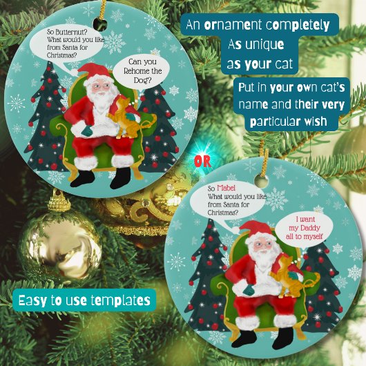 Grappig Sinaasappel Cat Bezoeken Santa Custom Chri Keramisch Ornament