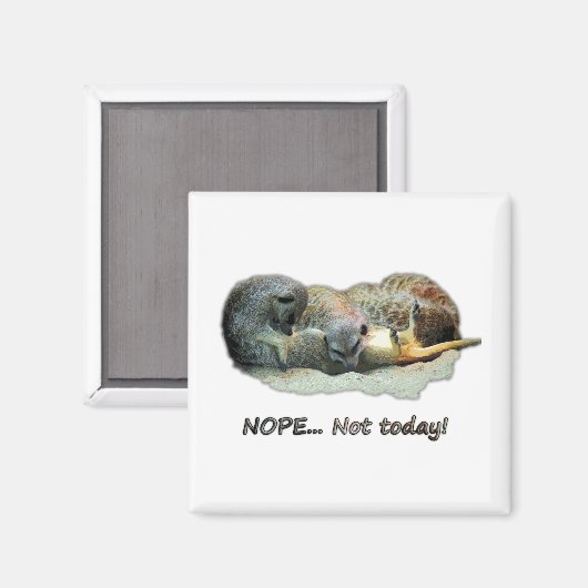 Grappig, slapende ratten magneet (Voorkant / Achterkant)