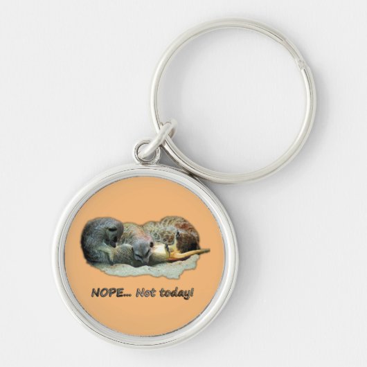 Grappig, slapende ratten sleutelhanger (Voorkant)