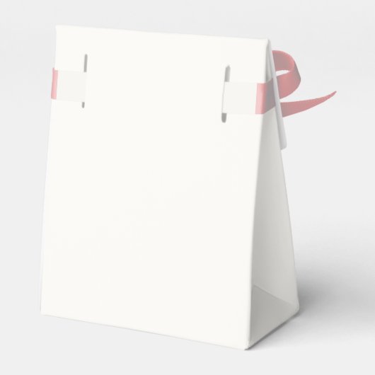 Grappig speciaal bezorging pizza baby shower bedankdoosjes (Achterkant)