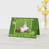 Grappig St. Patrick's Day Card met Basset & Green  Kaart (Gele Bloem)