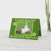 Grappig St. Patrick's Day Card met Basset & Green  Kaart (Voorkant)