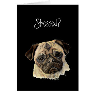 Grappig, Stress? Hug een Pug!, Dog, Pet, Animal!