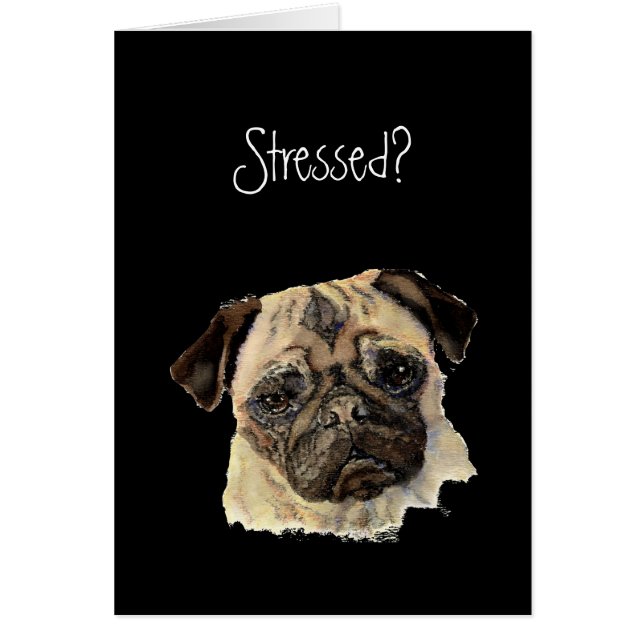 Grappig, Stress? Hug een Pug!, Dog, Pet, Animal! (Voorkant)