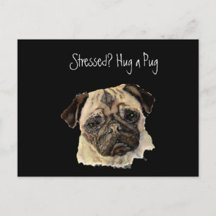 Grappig, Stress? Hug een Pug!, Dog, Pet, Animal! Briefkaart