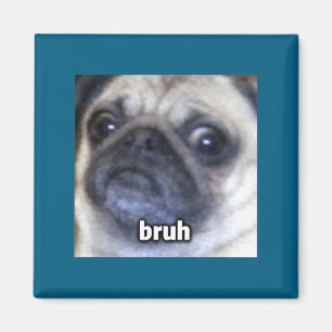 Grappig T-shirt Broer Pug Hondengezicht Wazig Magneet