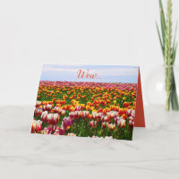 Grappig, tulpen, bloemen, kleurrijk, easter