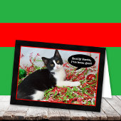 Grappig Tuxedo Kitten Kat Kerst Kaart
