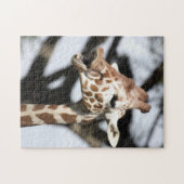Grappig uitziende netgiraffe, San Francisco Legpuzzel (Horizontaal)