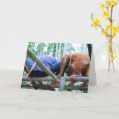 Grappig Vaderdag Kaart (Gele Bloem)