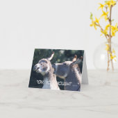 Grappig Vaderdag met ezels Kaart (Gele Bloem)