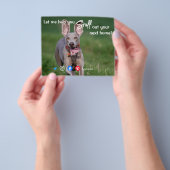 grappig vastgoed dat je de volgende homofoon eruit flyer (Hand)