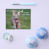 grappig vastgoed dat je de volgende homofoon eruit flyer (Enkel)