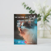 grappig vastgoed dat je je volgende kat uitzoekt briefkaart (Staand voorkant)