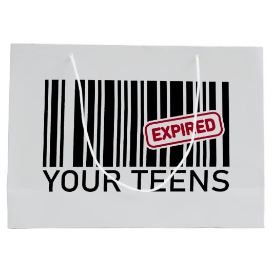 Grappig verjaardagsfeestje 20e groot cadeauzakje (Achterkant)