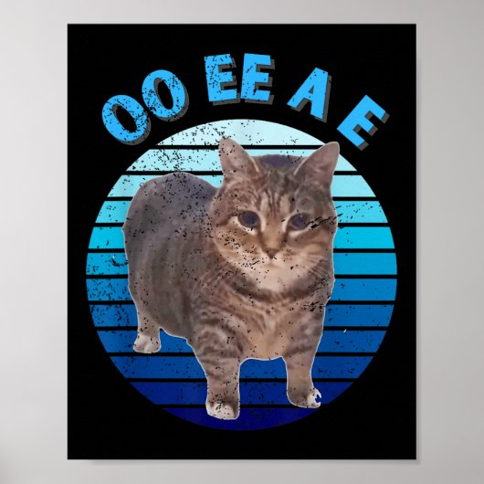 Grappig Verontwaardigd Oia Kat Spinning Kat Oi Oi Poster (Voorkant)