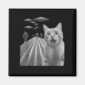 Grappig Verrast Bang Kat Selfie Met Bigfoot En Magneet