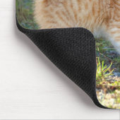 Grappig verrast Ginger Kitten. Wat is de troep? Muismat (Hoek)