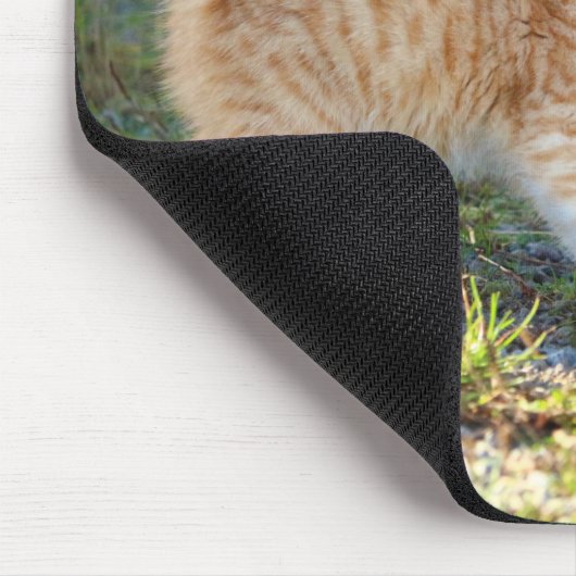 Grappig verrast Ginger Kitten. Wat is de troep? Muismat (Hoek)