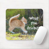Grappig verrast Ginger Kitten. Wat is de troep? Muismat (Met muis)