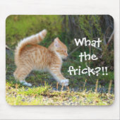 Grappig verrast Ginger Kitten. Wat is de troep? Muismat (Voorkant)