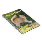 Grappig verrast Ginger Kitten. Wat is de troep? Notitieboek (Rechterzijde)