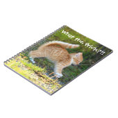 Grappig verrast Ginger Kitten. Wat is de troep? Notitieboek (Linkerzijde)
