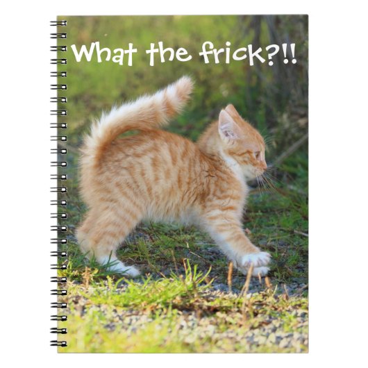 Grappig verrast Ginger Kitten. Wat is de troep? Notitieboek (Voorkant)