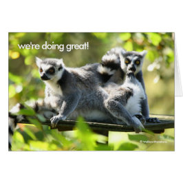 Grappig verrast Madgascar Lemurs Monkey Busines