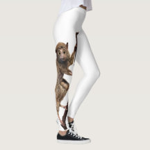 Grappig Verrast Taxidermie Lemur Apenwezen