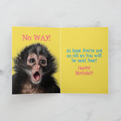 Grappig verraste aap twee uitingen van de vorige d kaart (Binnen)