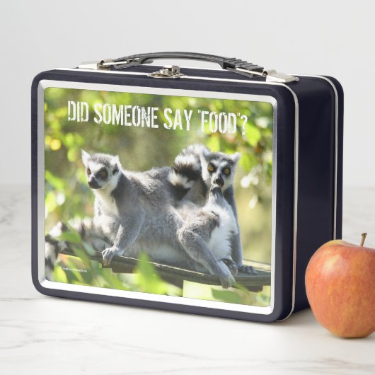 Grappig verraste Lemurs van Madagaskar (In situ)