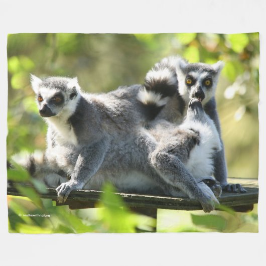Grappig verraste Lemurs van Madagaskar Fleece Deken (Voorkant (Horizontaal))