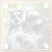Grappig verraste Lemurs van Madagaskar Glazen Onderzetter (Achterkant)