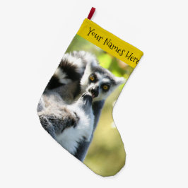 Grappig verraste Lemurs van Madagaskar Grote Kerstsok