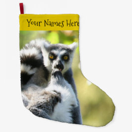 Grappig verraste Lemurs van Madagaskar Grote Kerstsok