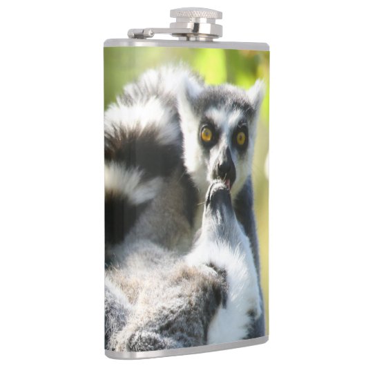 Grappig verraste Lemurs van Madagaskar Heupfles (Rechts)