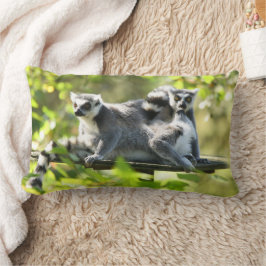 Grappig verraste Lemurs van Madagaskar Kussen