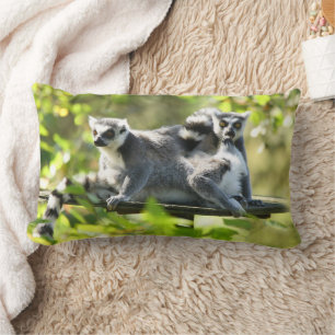 Grappig verraste Lemurs van Madagaskar Kussen