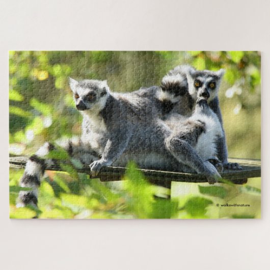 Grappig verraste Lemurs van Madagaskar Legpuzzel (Horizontaal)