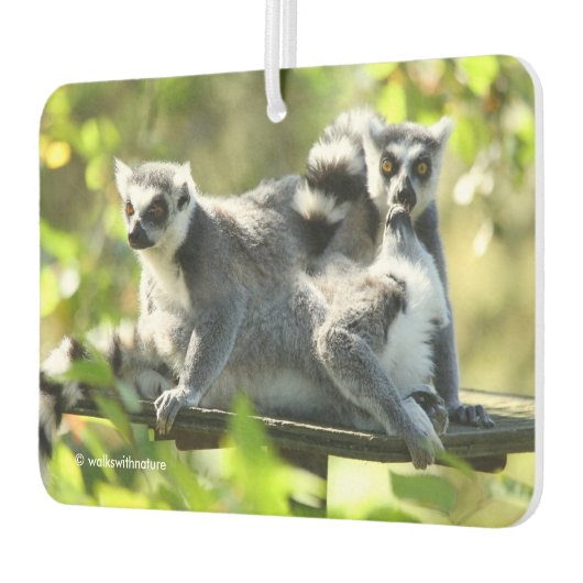 Grappig verraste Lemurs van Madagaskar Luchtverfrisser (Links)