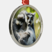 Grappig verraste Lemurs van Madagaskar Metalen Ornament (Rechts)
