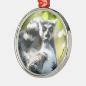 Grappig verraste Lemurs van Madagaskar Metalen Ornament (Links)
