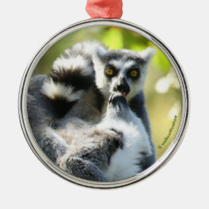 Grappig verraste Lemurs van Madagaskar Metalen Ornament