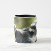 Grappig verraste Lemurs van Madagaskar Mok (Midden)