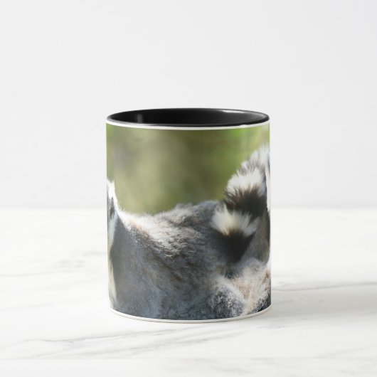 Grappig verraste Lemurs van Madagaskar Mok (Midden)