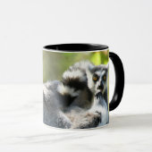 Grappig verraste Lemurs van Madagaskar Mok (Voorkant rechts)