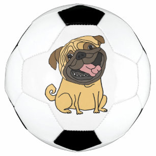 Grappig Voetbal Pug Puppy Dog